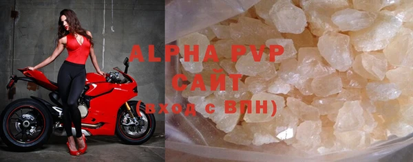 стаф Вяземский