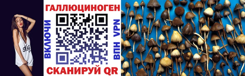 Галлюциногенные грибы Cubensis  Купить  Ворсма 